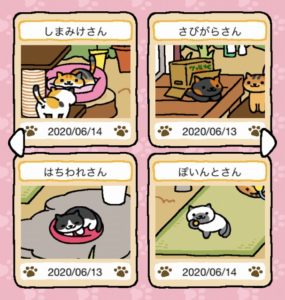 英語でねこあつめ Kitty Collector Fwf In English ゆる登山だニャン