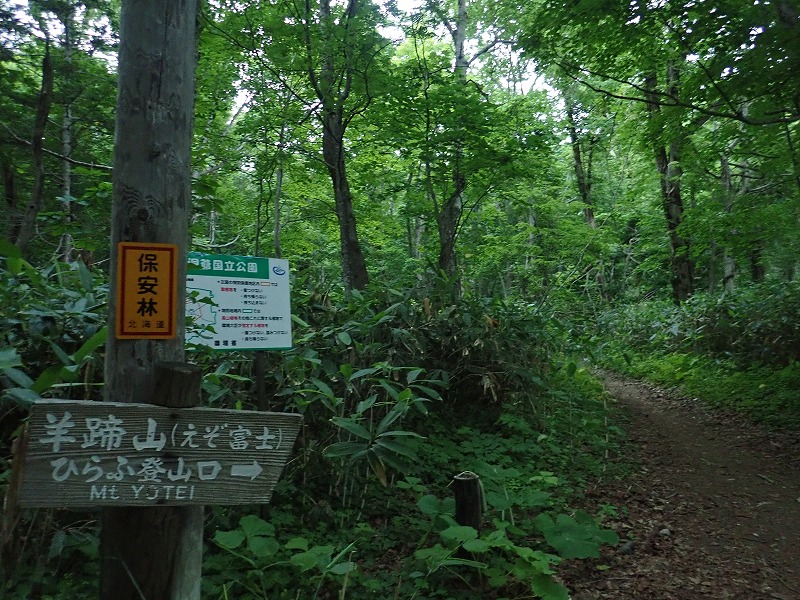 北海道遠征 ２日目 後方羊蹄山比羅夫コース 撤退 ラーメン初代 日の出ラベンダー フラヌイ温泉 ゆる登山だニャン