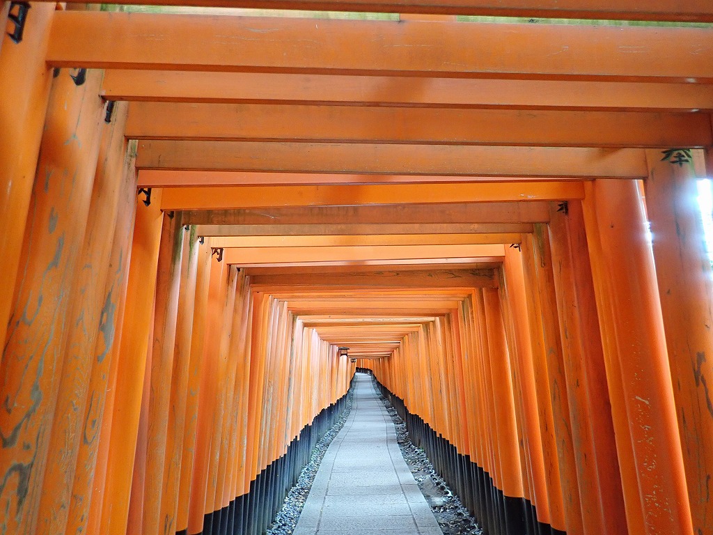 京都一周トレイル １日目 東山コース 伏見稲荷 銀閣寺 大豊神社 旬菜いまり 井筒湯 ゆる登山だニャン